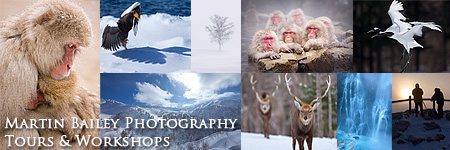 Martin Bailey Photography Tours & Workshops