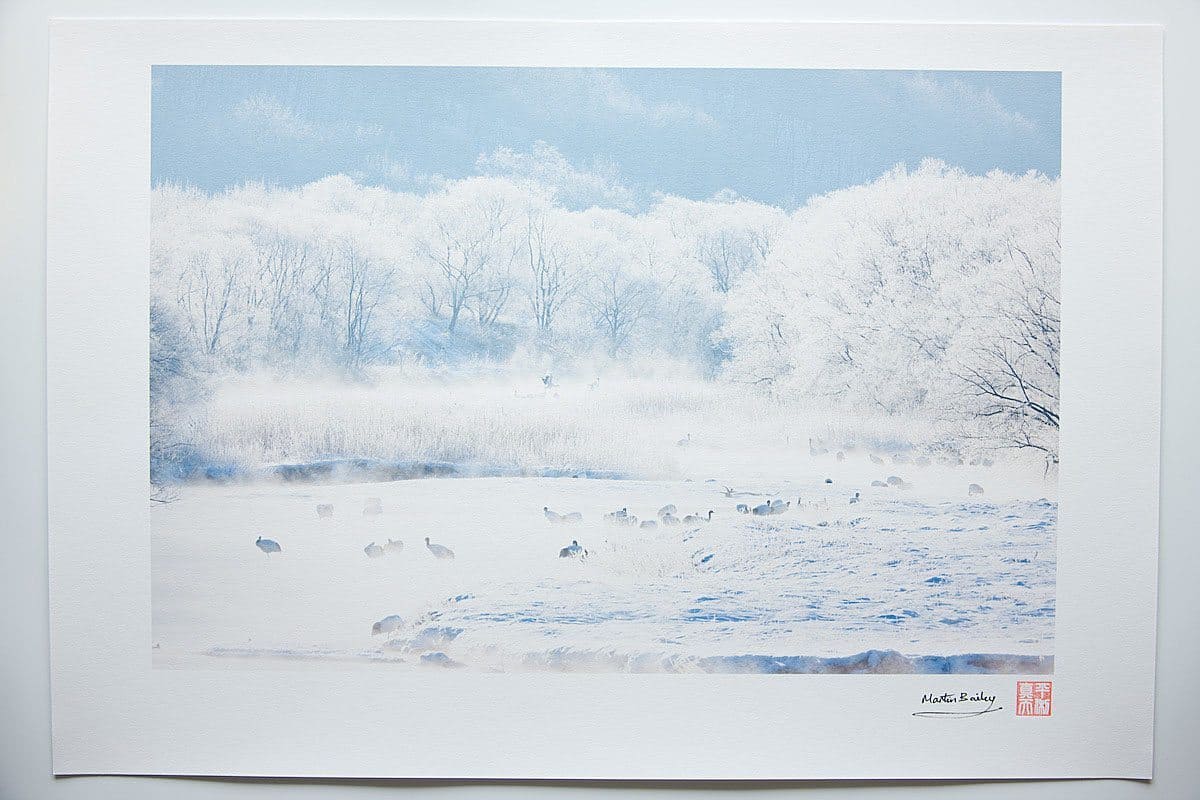 canon art print paper