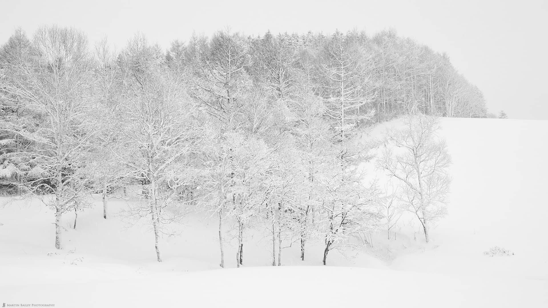 Martin Bailey Photography Hokkaido Winter Landscape Photography Adventure 21