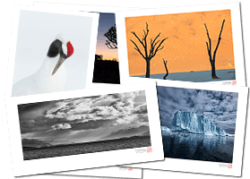 Portfolios and Fine Art Prints