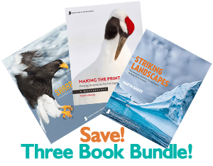 Three Book Bundle